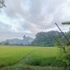 ธนาพรม เส็งหนองแบน
