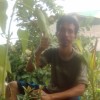 agayfdlh