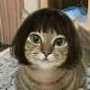 Hisui