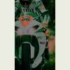 Nazri Age