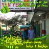 Mashen
