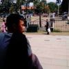 Arbian Fatul