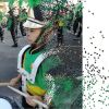 Warot Komoltree