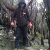 vian