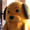 Dan