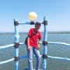 Zul Fadly