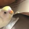 Spencer🥨