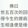 野馬騰飛