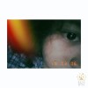 Reyv3116