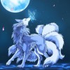 星辰/天狼