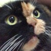 Esther