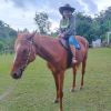Prince Acing