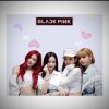blink blackpink 