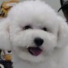 baeby