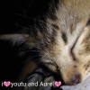 aurel. 117