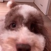 katie