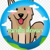 ราตรี วิชัย