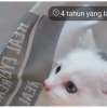 Har Yanto