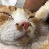 我是你爸爸 and你是SB