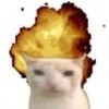 meow