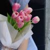 Mary_Zhang