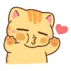 Cat Cat