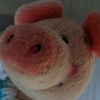 Limus