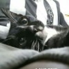 Natasha UiT.M