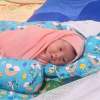Andi Alwi