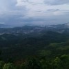 Duta_W