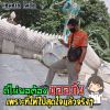 วัฒนา หลวงศรี