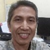 kapok
