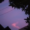 virgils16_