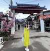 Zune Phue Wai