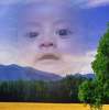 Muhamad Noh Putra