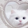 :3