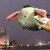 Wing Shan Leung