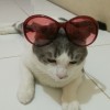 tary Sandjaya