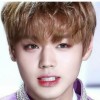 ig:jisyajihoonie