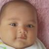 Mawar Mawar