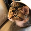 Chloe