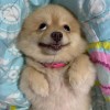bo