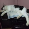 Jusoh Bin Che Embong