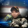 Aconk Lodaya