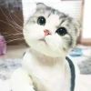 YuKi~~^…^