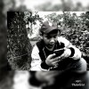 Apri Lallo