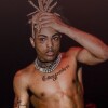 xxxtentacion_fan