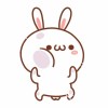 Rabbit_na