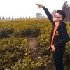 Arizonasembiring