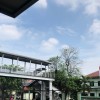 Dita Nurcahaya